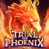 Trial Of Phoenix
